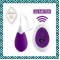 Виброяйцо ANNA (Remote Vibrating Egg) Purple