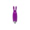 Минивибратор Adrien Lastic Pocket Vibe Rabbit Purple