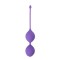 Dream Toys - Вагинальные шарики SEE YOU IN BLOOM DUO BALLS 29MM PURPLE (DT21232)