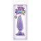 NS Novelties - Плаг JELLY RANCHER PLEASURE PLUG SMALL, PURPLE (T280084)