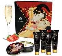 Shunga - GEISHAS SECRET KIT STRAWBERRY WINE (T278208)