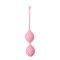 Dream Toys - Вагинальные шарики SEE YOU IN BLOOM DUO BALLS 36MM PINK (DT21228)