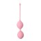 Dream Toys - Вагинальные шарики SEE YOU IN BLOOM DUO BALLS 29MM PINK (DT21231)