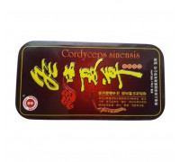 Cordyceps sinensis - препарад для повышения потенции