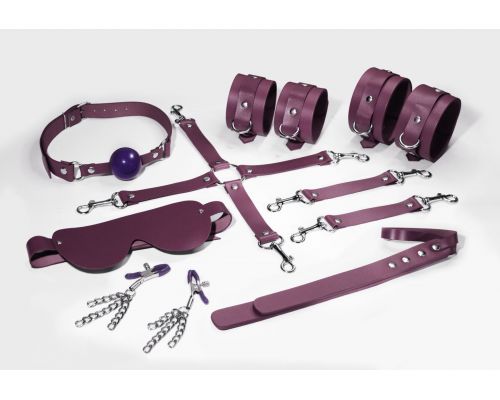 Набор Feral Feelings BDSM Kit 7 Burgundy, наручники, поножи, коннектор, маска, паддл, кляп, зажимы