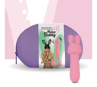 Мини-вибратор FeelzToys Mister Bunny Pink с двумя насадками