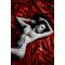 Простыня из винила Fetish Tentation Wet Love Red 220x200 см